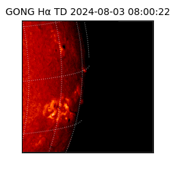 gong - 2024-08-03T08:00:22