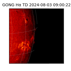 gong - 2024-08-03T09:00:22