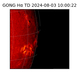 gong - 2024-08-03T10:00:22