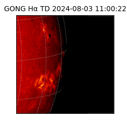 gong - 2024-08-03T11:00:22