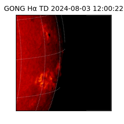 gong - 2024-08-03T12:00:22