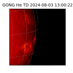 gong - 2024-08-03T13:00:22