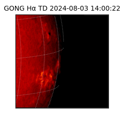 gong - 2024-08-03T14:00:22