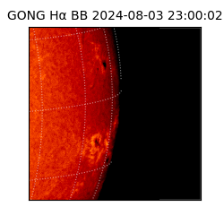 gong - 2024-08-03T23:00:02