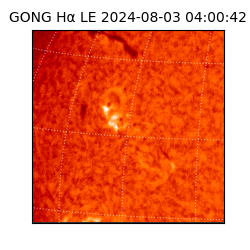 gong - 2024-08-03T04:00:42