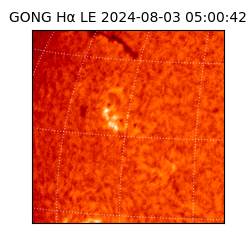 gong - 2024-08-03T05:00:42