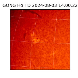 gong - 2024-08-03T14:00:22