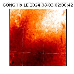 gong - 2024-08-03T02:00:42