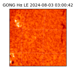 gong - 2024-08-03T03:00:42