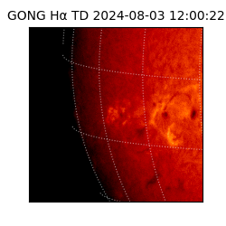 gong - 2024-08-03T12:00:22