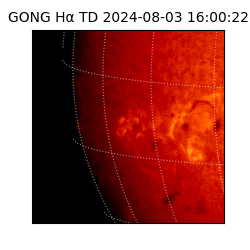 gong - 2024-08-03T16:00:22