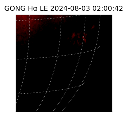 gong - 2024-08-03T02:00:42