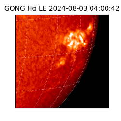 gong - 2024-08-03T04:00:42