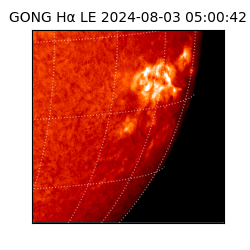 gong - 2024-08-03T05:00:42