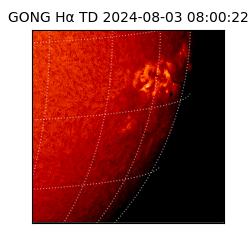 gong - 2024-08-03T08:00:22