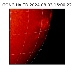 gong - 2024-08-03T16:00:22