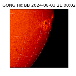 gong - 2024-08-03T21:00:02