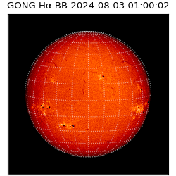 gong - 2024-08-03T01:00:02