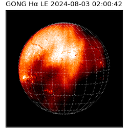 gong - 2024-08-03T02:00:42