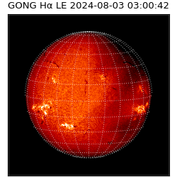 gong - 2024-08-03T03:00:42