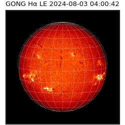 gong - 2024-08-03T04:00:42