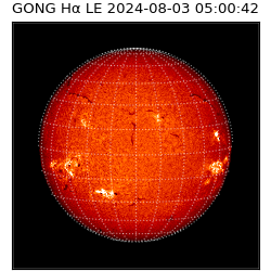 gong - 2024-08-03T05:00:42