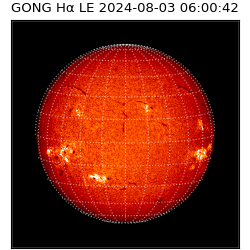 gong - 2024-08-03T06:00:42