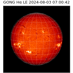 gong - 2024-08-03T07:00:42