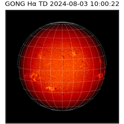 gong - 2024-08-03T10:00:22