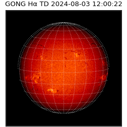 gong - 2024-08-03T12:00:22