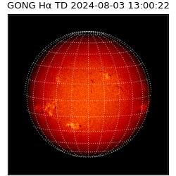 gong - 2024-08-03T13:00:22