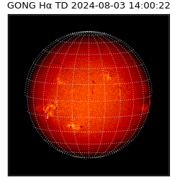 gong - 2024-08-03T14:00:22