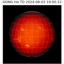 gong - 2024-08-03T19:00:22