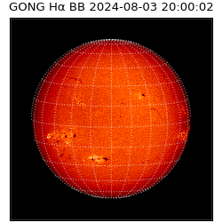 gong - 2024-08-03T20:00:02