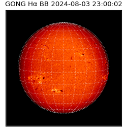 gong - 2024-08-03T23:00:02