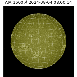 saia - 2024-08-04T08:00:14.126000