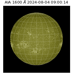 saia - 2024-08-04T09:00:14.130000