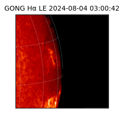 gong - 2024-08-04T03:00:42