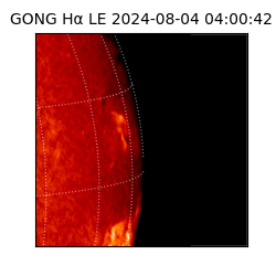 gong - 2024-08-04T04:00:42