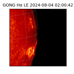 gong - 2024-08-04T02:00:42