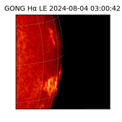 gong - 2024-08-04T03:00:42