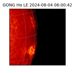 gong - 2024-08-04T06:00:42