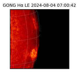 gong - 2024-08-04T07:00:42