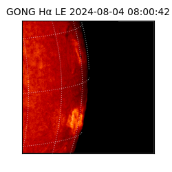 gong - 2024-08-04T08:00:42