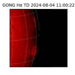 gong - 2024-08-04T11:00:22