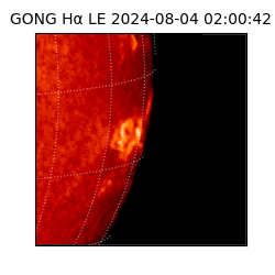 gong - 2024-08-04T02:00:42