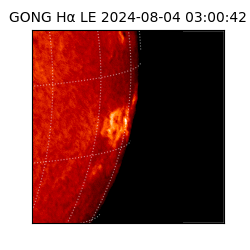 gong - 2024-08-04T03:00:42