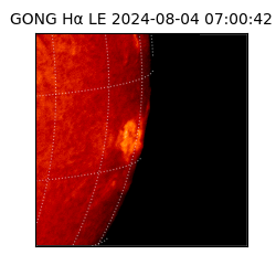 gong - 2024-08-04T07:00:42