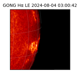 gong - 2024-08-04T03:00:42