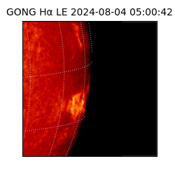 gong - 2024-08-04T05:00:42